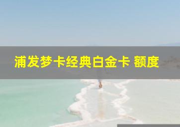 浦发梦卡经典白金卡 额度